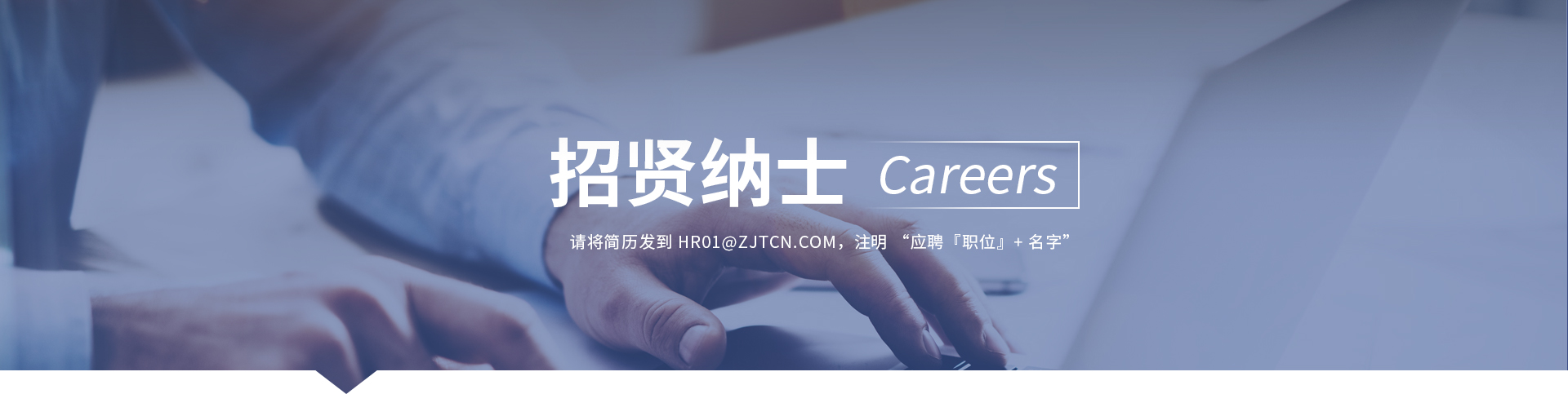 MS - ��ʨ����ᡤ�ٷ�(�й�)